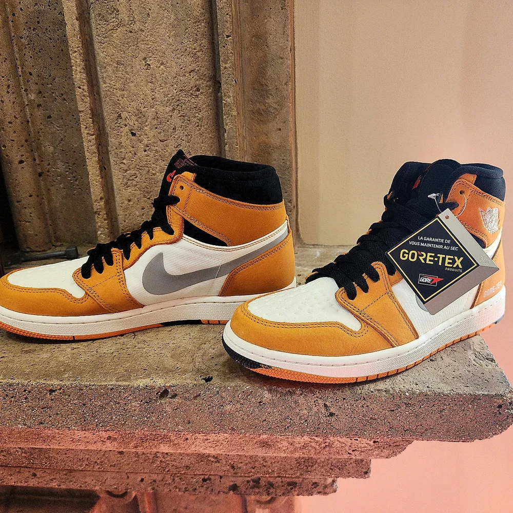 NIB Air Jordan 1 Element Gore-Tex 